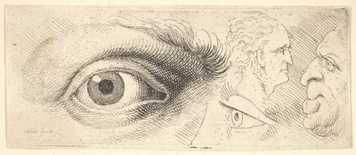 Deux yeux et deux têtes - Wenceslaus Hollar