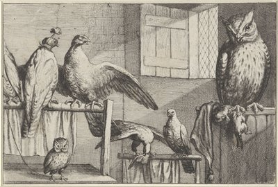 Faucons et hiboux dans une grange - Wenceslaus Hollar