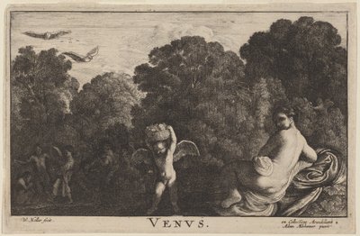 Vénus - Wenceslaus Hollar