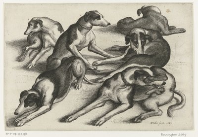 Six chiens de chasse couchés - Wenceslaus Hollar