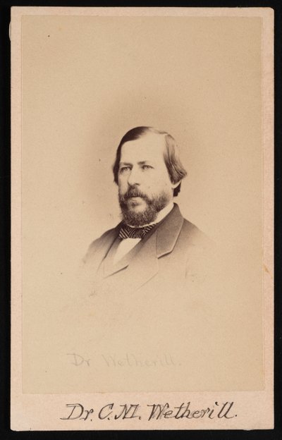 Portrait du Dr Charles Mayer Wetherill 1825-1871, 1864 - Wenderoth and Taylor