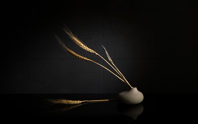  - Wendy Xu