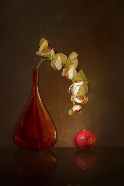  - Wendy Xu