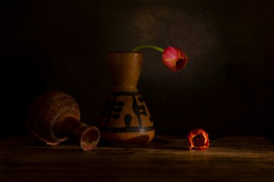  - Wendy Xu