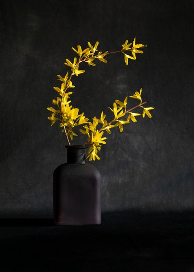  - Wendy Xu