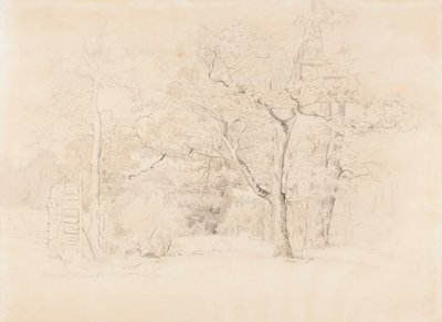 Paysage, bosquet - Werner Holmberg