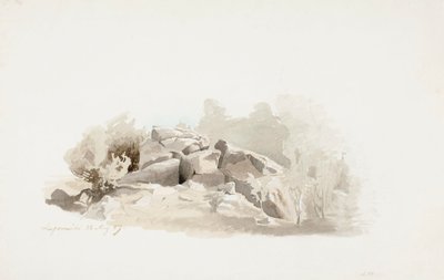 Un affleurement rocheux fragile entouré de buissons - Werner Holmberg