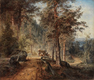 Route à Häme un jour d