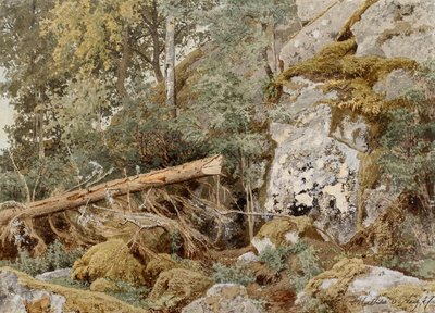 Roche moussue dans la forêt - Werner Holmberg