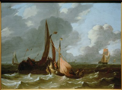Mer agitée - Wigerus Vitringa