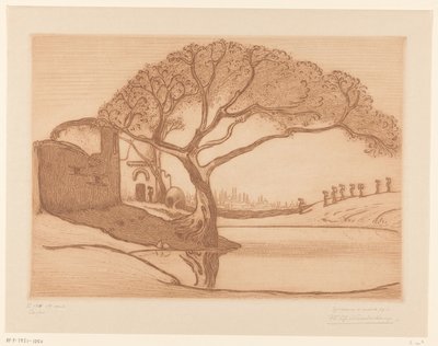 Arbre près d