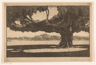Arbres Waringin dans le jardin du palais du sultan à Yogyakarta (Le grand arbre) - Wijnand Otto Jan Nieuwenkamp (signed by artist)