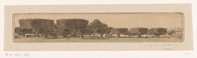 Arbres waringin dans le jardin du palais du sultan à Yogyakarta - Wijnand Otto Jan Nieuwenkamp (signed by artist)