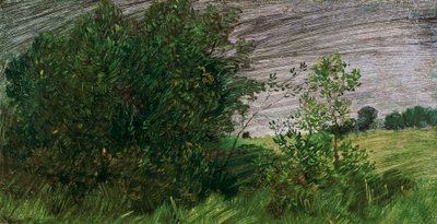 Paysage - Wilhelm Busch