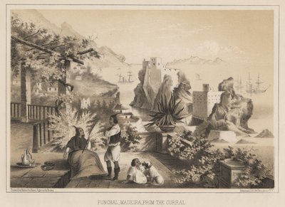 Funchal, Madère, depuis le Curral, 1885 - Wilhelm Joseph Heine