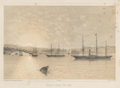Napha de la mer, 1855 - Wilhelm Joseph Heine