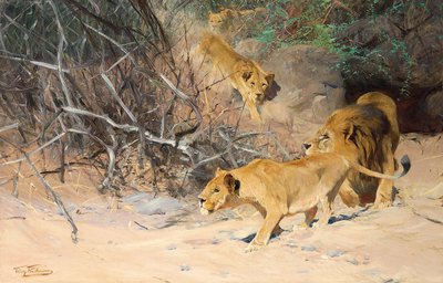 Une troupe de lions en chasse - Wilhelm Kuhnert