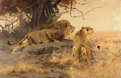 Un lion et une lionne dans la savane - Wilhelm Kuhnert