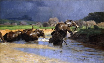 Éléphants se baignant - Wilhelm Kuhnert