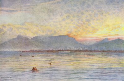 Le Cap depuis Table Bay - Wilhelm Westhofen