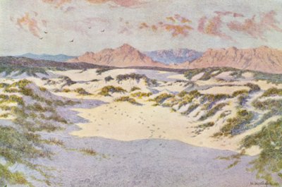 Sur les dunes près de Muizenberg - Wilhelm Westhofen