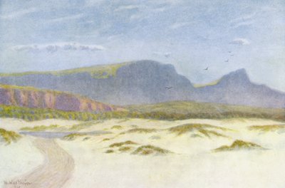 Dunes de sable - Wilhelm Westhofen
