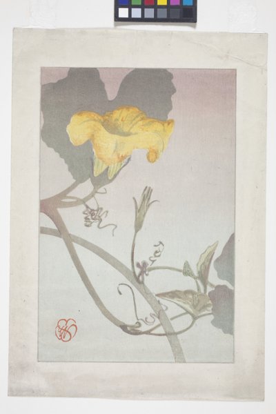 Étude de fleurs - Wilhelmina Seegmiller
