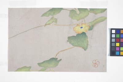 Étude de fleurs, c.1908 - Wilhelmina Seegmiller