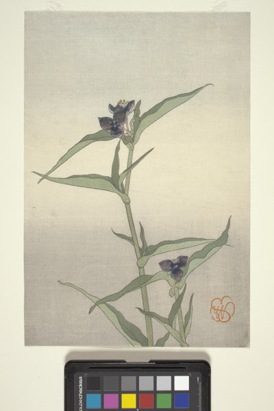 Étude de fleurs, c.1908 - Wilhelmina Seegmiller