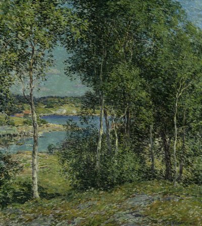 Une Famille de Bouleaux - Willard Leroy Metcalf
