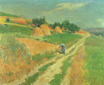 Cueillir des fleurs sauvages - Willard Leroy Metcalf