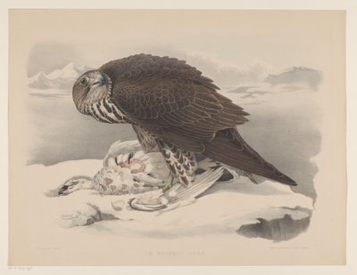 Faucon gerfaut avec un lagopède (Le gerfaut sors) - Willem Bastiaan van Wouw