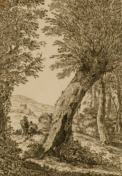 Paysage avec saule - Willem Bemmel