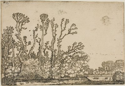 Paysage avec arbres, étang et moutons - Willem Buytewech