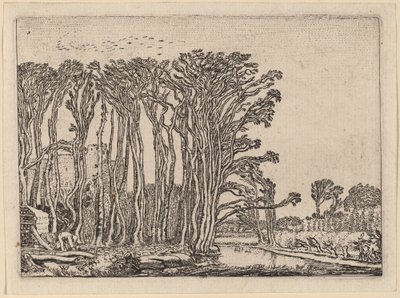 Le charbonnier - Willem Buytewech
