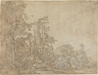 Étang forestier avec un pêcheur - Willem Buytewech