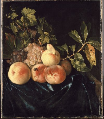 Nature morte avec pêches et raisins - Willem Frederik van Royen
