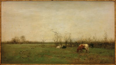 Paysage de prairie - Willem Maris