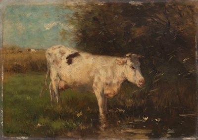 Vache blanche - Willem Maris