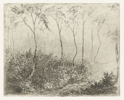 Paysage forestier - Willem Matthias Jan van Dielen