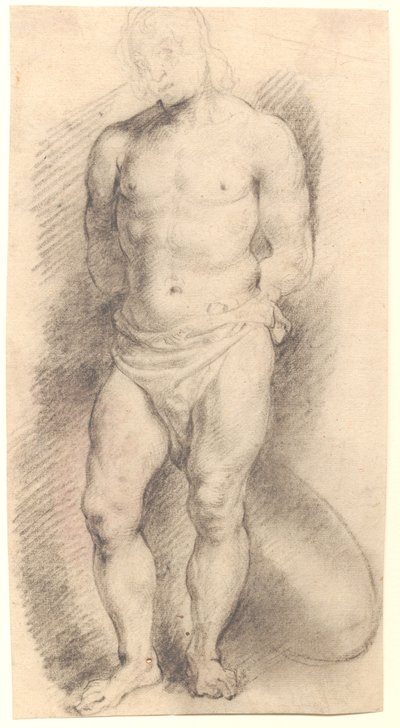 Vue de face d