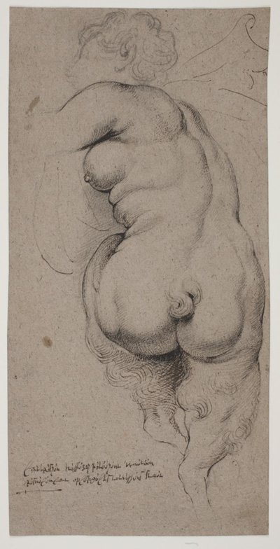 Faune femelle, vue de dos - Willem Panneels