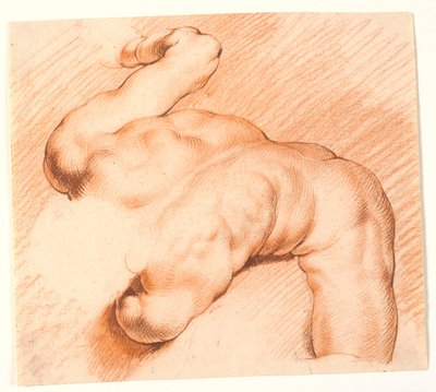 Lutteurs. Groupe de sculptures antiques. Figure supérieure - Willem Panneels