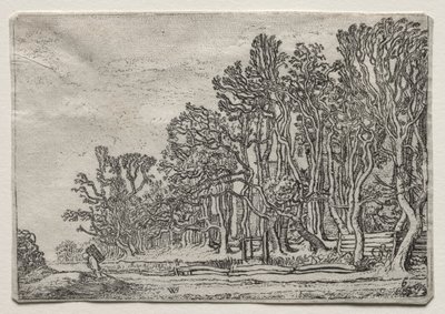 Le jeu des paysages : Deux haies de planches - Willem Pietersz Buytewech