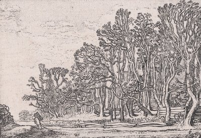 Deux Haies de Planches, de Verscheyden Landtschapjes Divers Petits Paysages, Planche 6 - Willem Pietersz. Buytewech