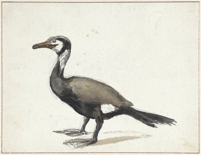 Cormoran - Willem Roelofs (I)