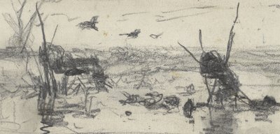 Parcs à canards dans une étendue d