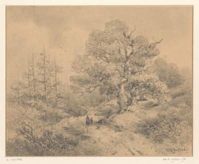 Paysage avec arbres, deux figures et un chien - Willem Valter Pzn