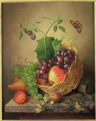 Image inconnue - Willem Verbeet