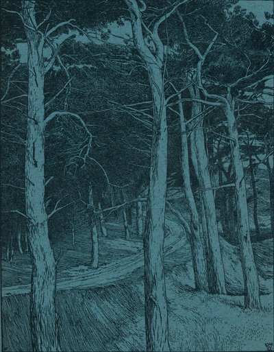 Forêt, vers 1912 - Willem Wenckebach